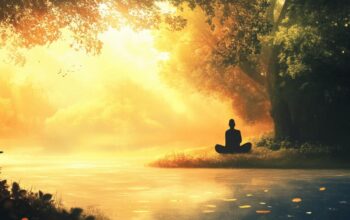Olness et l’art de la pleine conscience : Une approche philosophique du bien-être